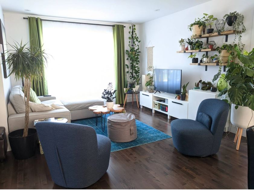 Trang trí nhà cửa với phong cách Biophilia có gì đặc biệt?